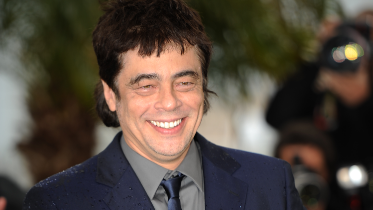 Benicio Del Toro - Photocall - Jimmy P. (Psychotherapy of a Plains Indian) © FDC / F. Lachaume