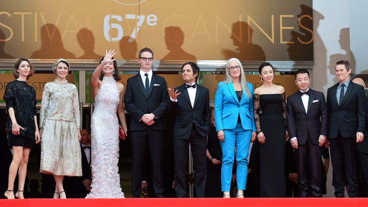Members of Feature Films Jury - Red carpet © AFP