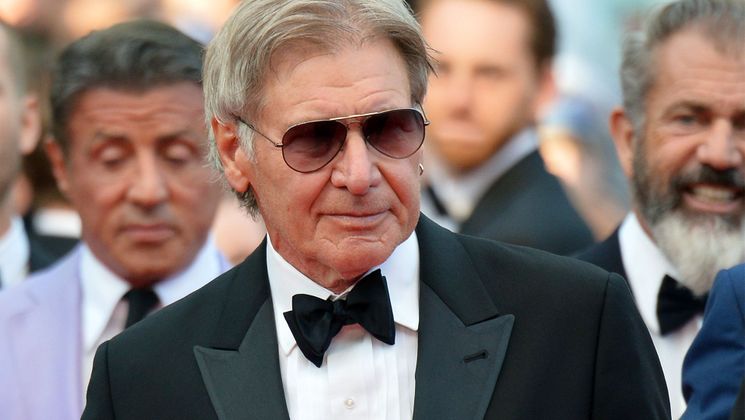 Harrison Ford - Red carpet © AFP / A. Pizzoli