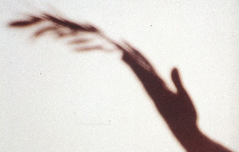 En 1990, création originale de Castella Traquandi à l’ombre d’une Palme pour l’affiche officielle. © Castella Traquandi / ADAGP