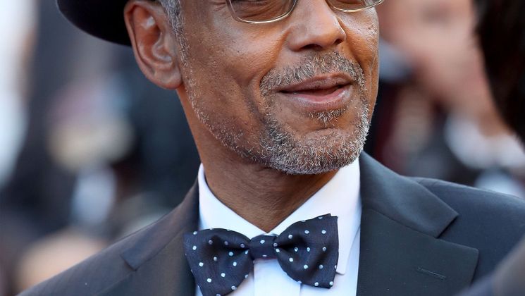 Giancarlo Esposito © Mike Marsland  / Getty Images