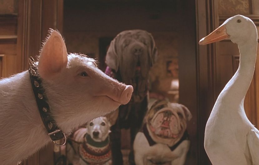 Image du film Babe 2, le cochon dans la ville (Babe: Pig in the City) - 1998 © DR