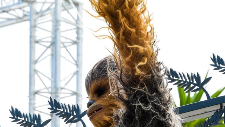 « Chewie Back à Cannes » © Lionel Urman - Starface