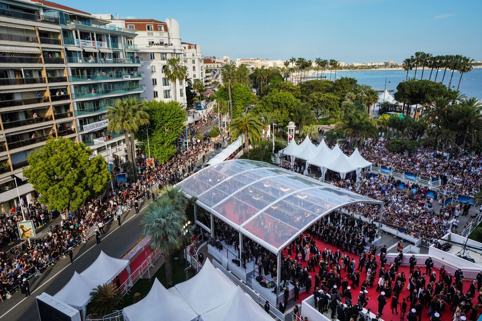 Ways to Experience Festival de Cannes