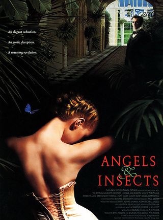 ANGELS AND INSECTS