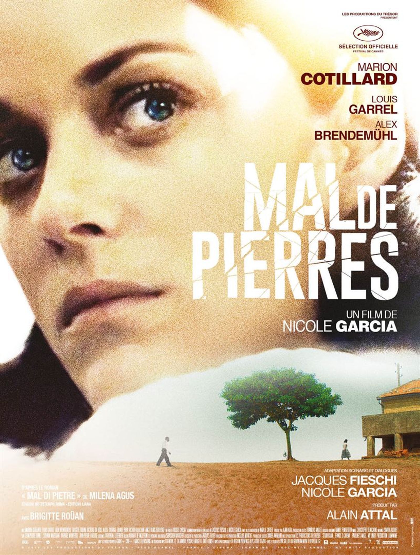 MAL DE PIERRES   Festival de Cannes