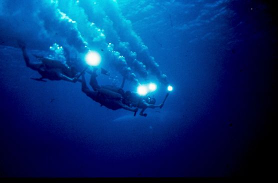 Photo du Film © The Cousteau Society