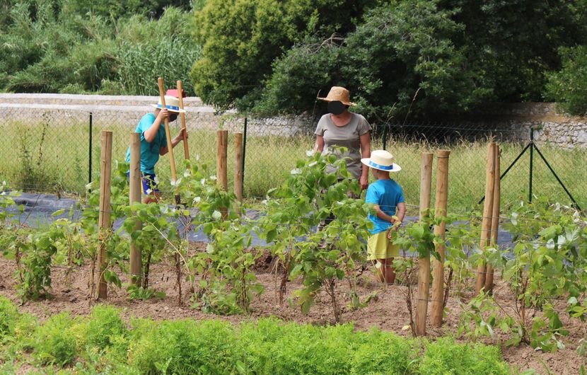 École au potager © DR