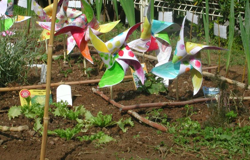 École au potager © DR